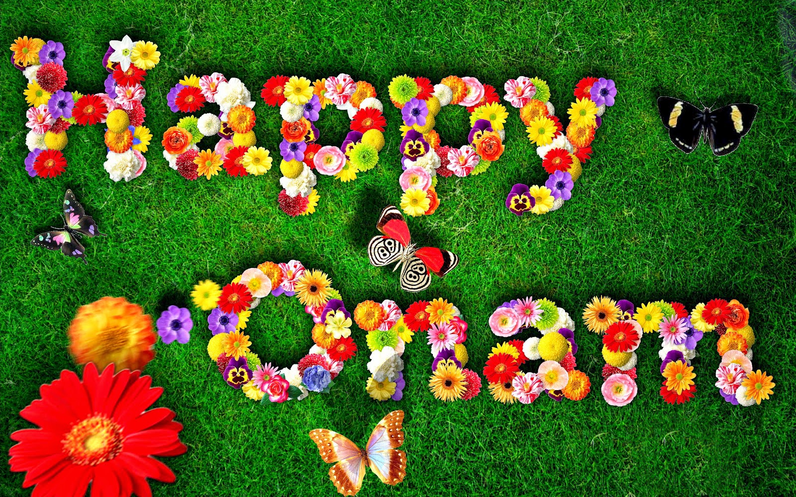 Happy Onam Images For Whatsapp Dp, Profile Wallpapers - Onam Images Free Download - HD Wallpaper 