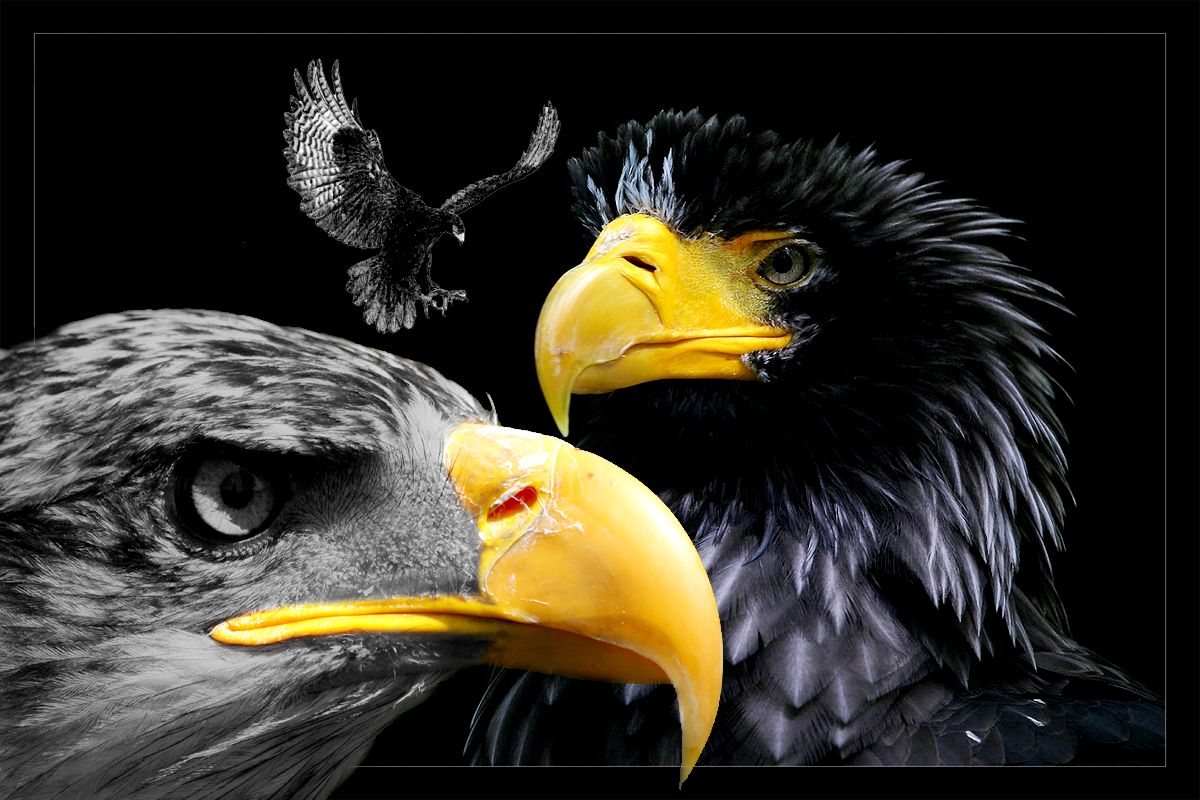 Hepar Resimleri - HD Wallpaper 