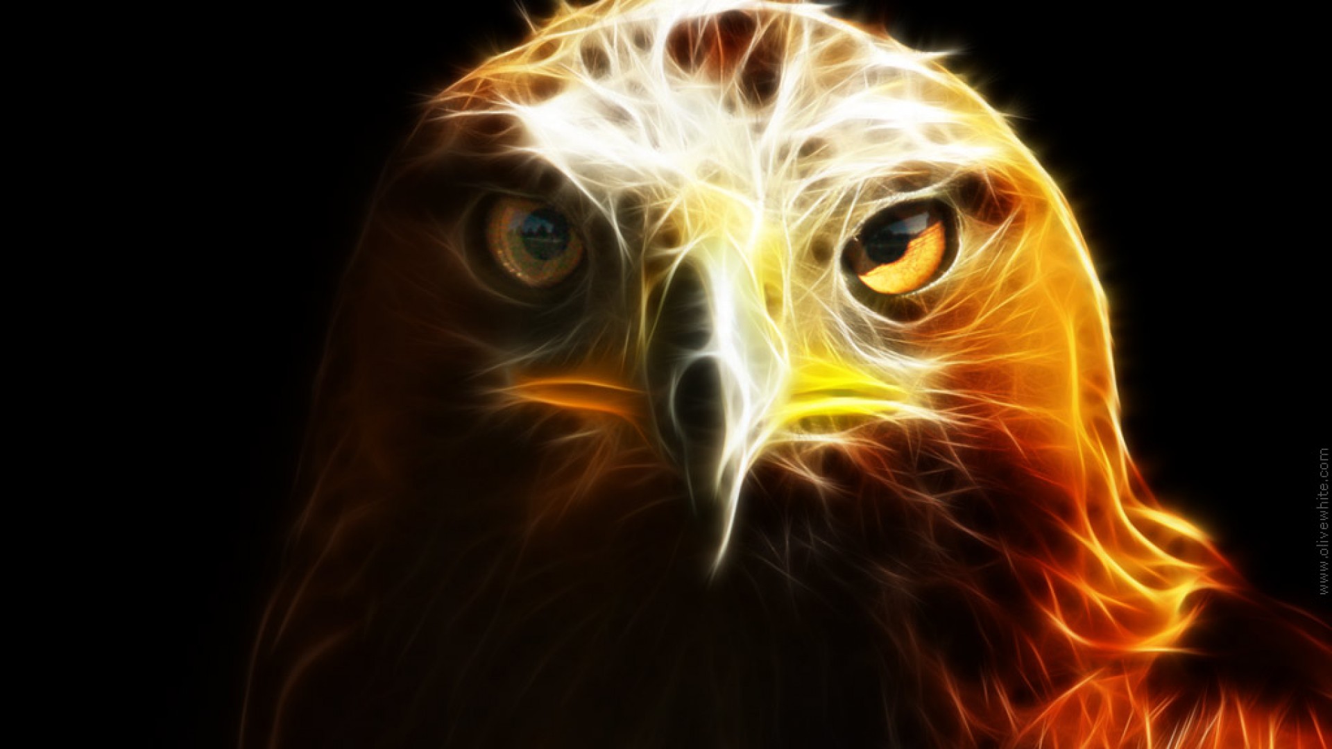 Desktop Eagle Wallpaper Hd - Golden Eagle Cool - HD Wallpaper 