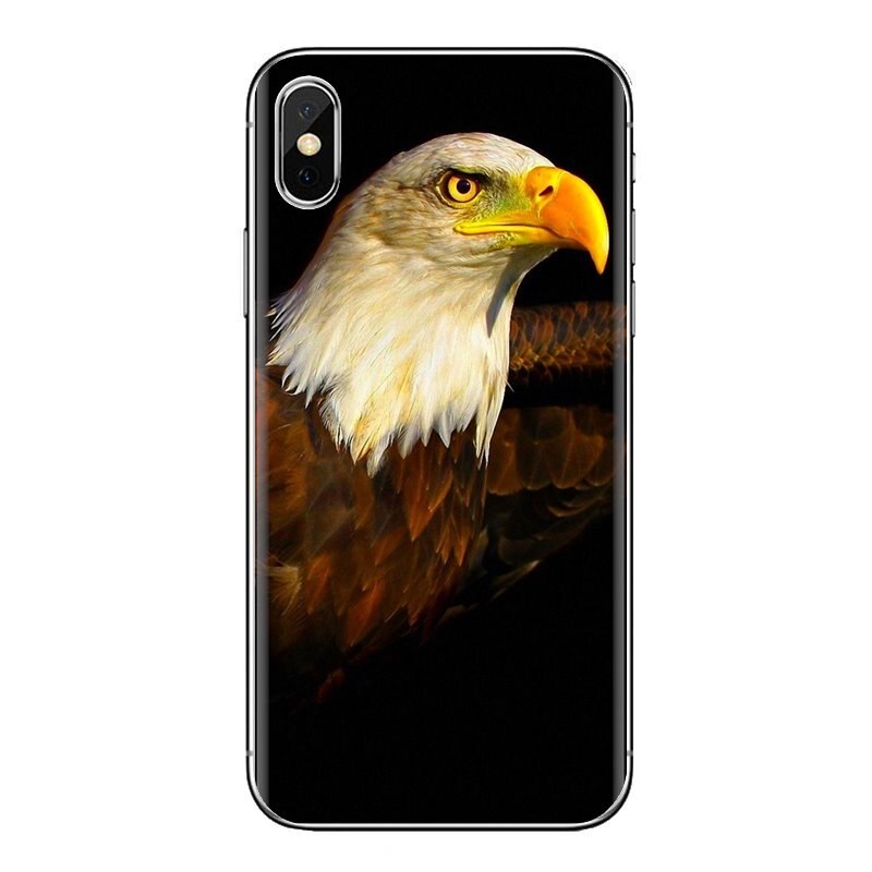 Ultra Hd 4k Eagle - HD Wallpaper 