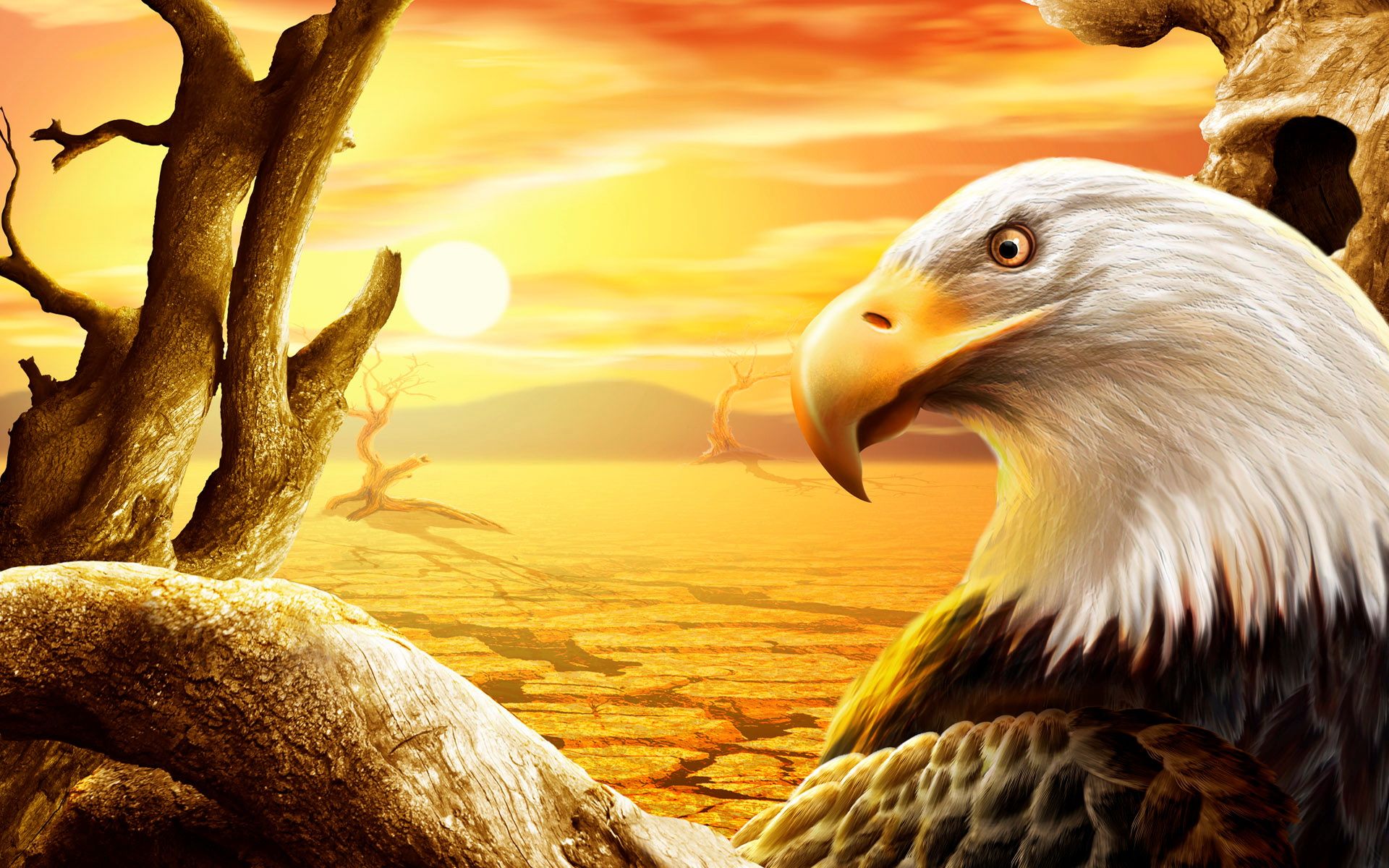 Art 0124 Wallpaper - Eagle Wallpaper 3d - HD Wallpaper 