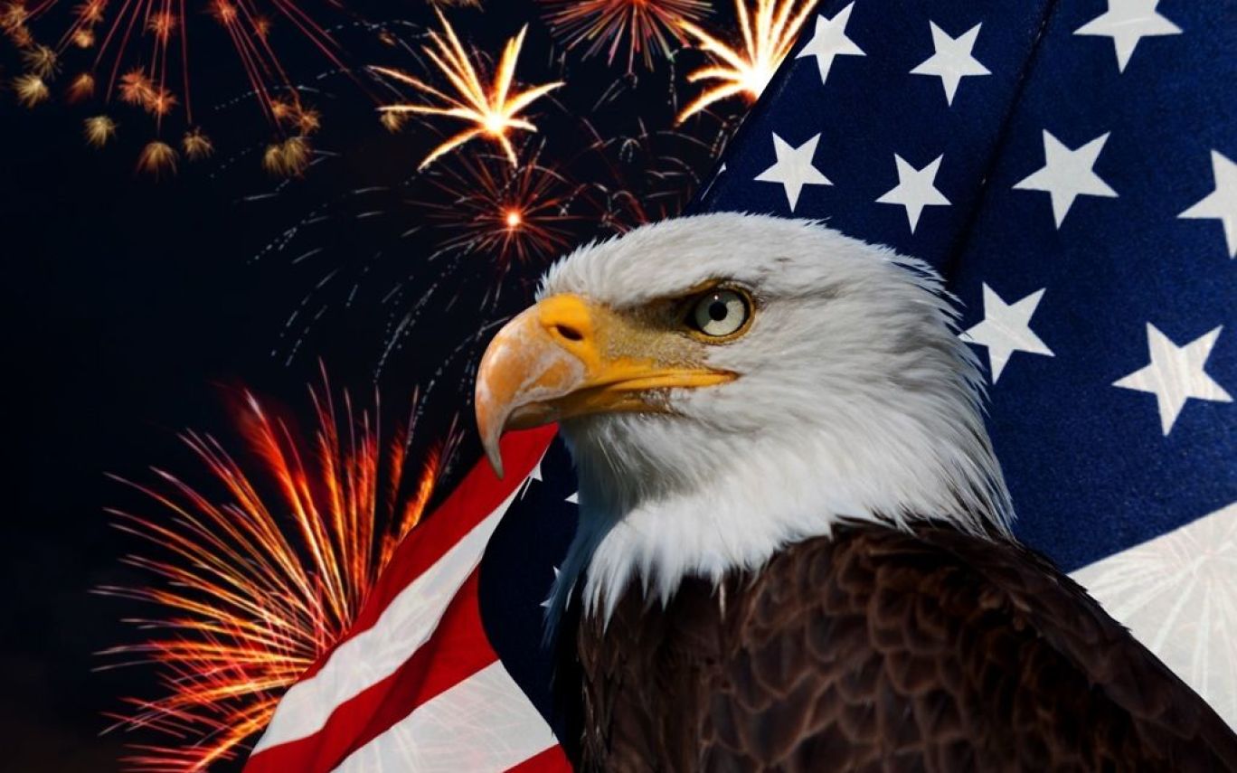 American Eagle Phone Background - HD Wallpaper 