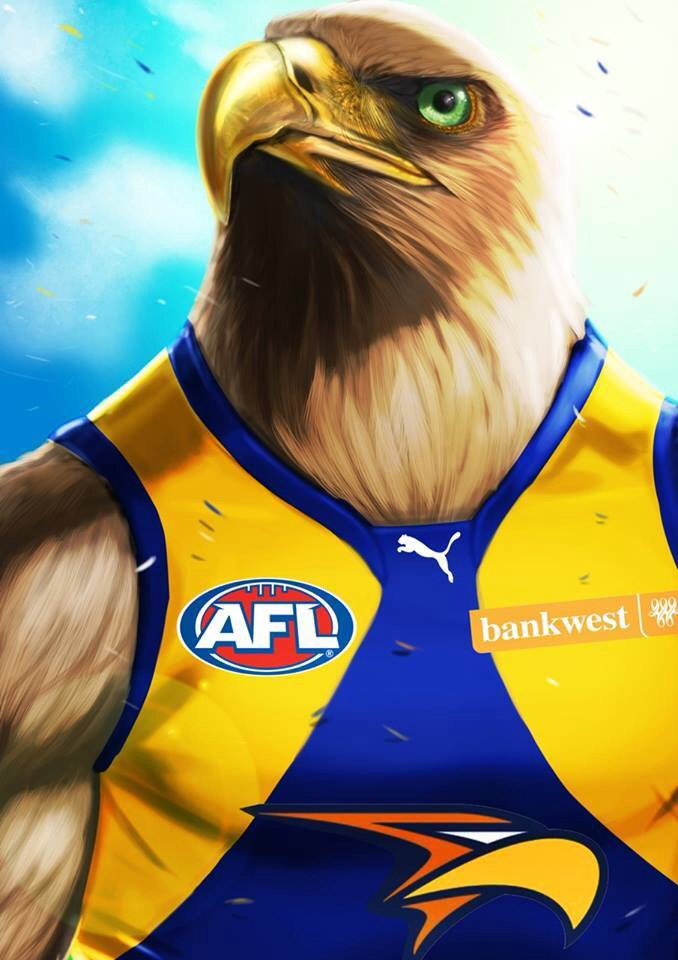 Eagle-wallpaper - West Coast Eagles Eagle - HD Wallpaper 