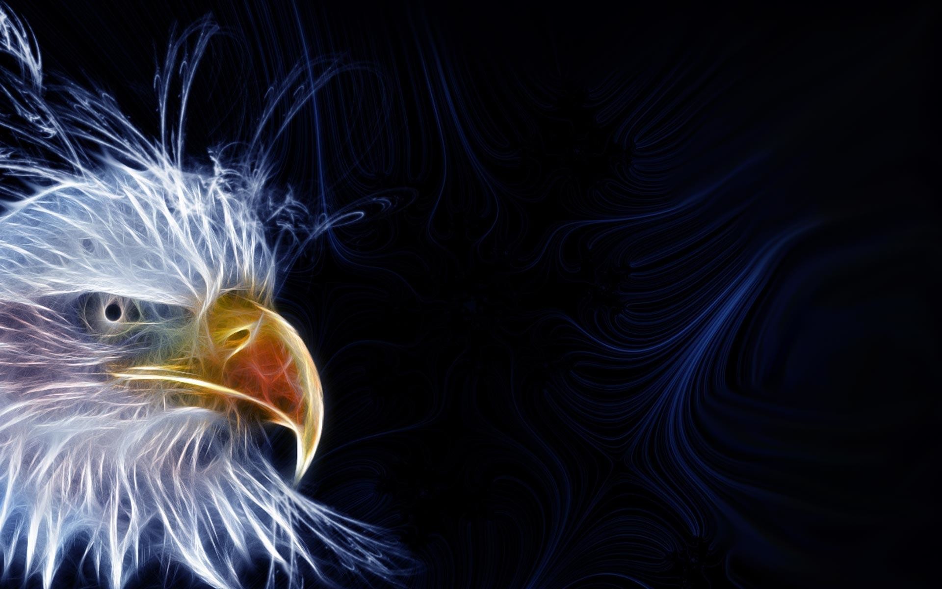 1920x1200, Eagle Desktop Wallpaper - Eagle Background - HD Wallpaper 