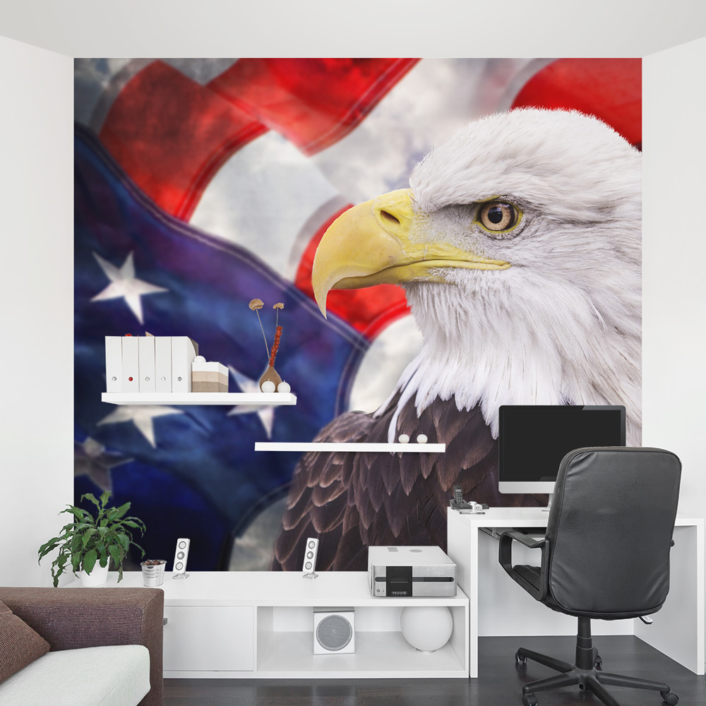 American Bald Eagle Office Wall Mural - Bay Bridge Wall Mural - HD Wallpaper 