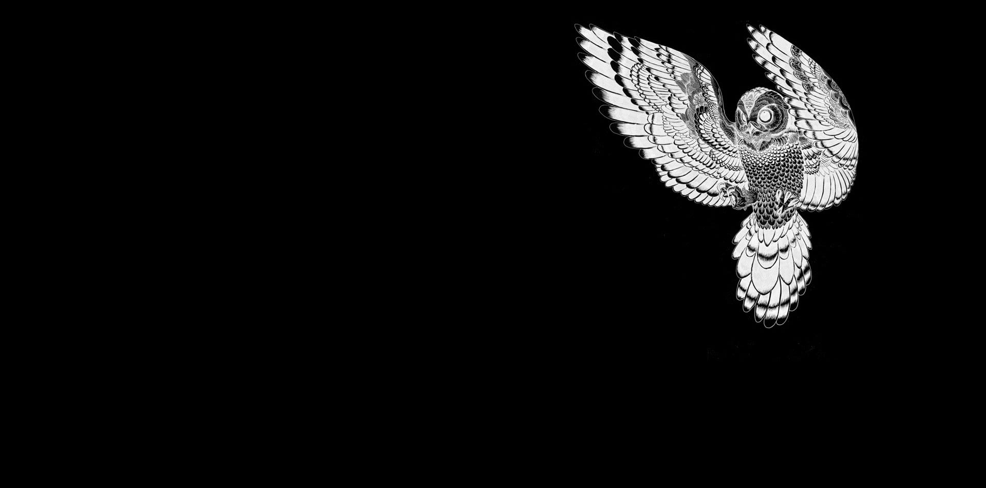 Black Owl Wallpaper - HD Wallpaper 