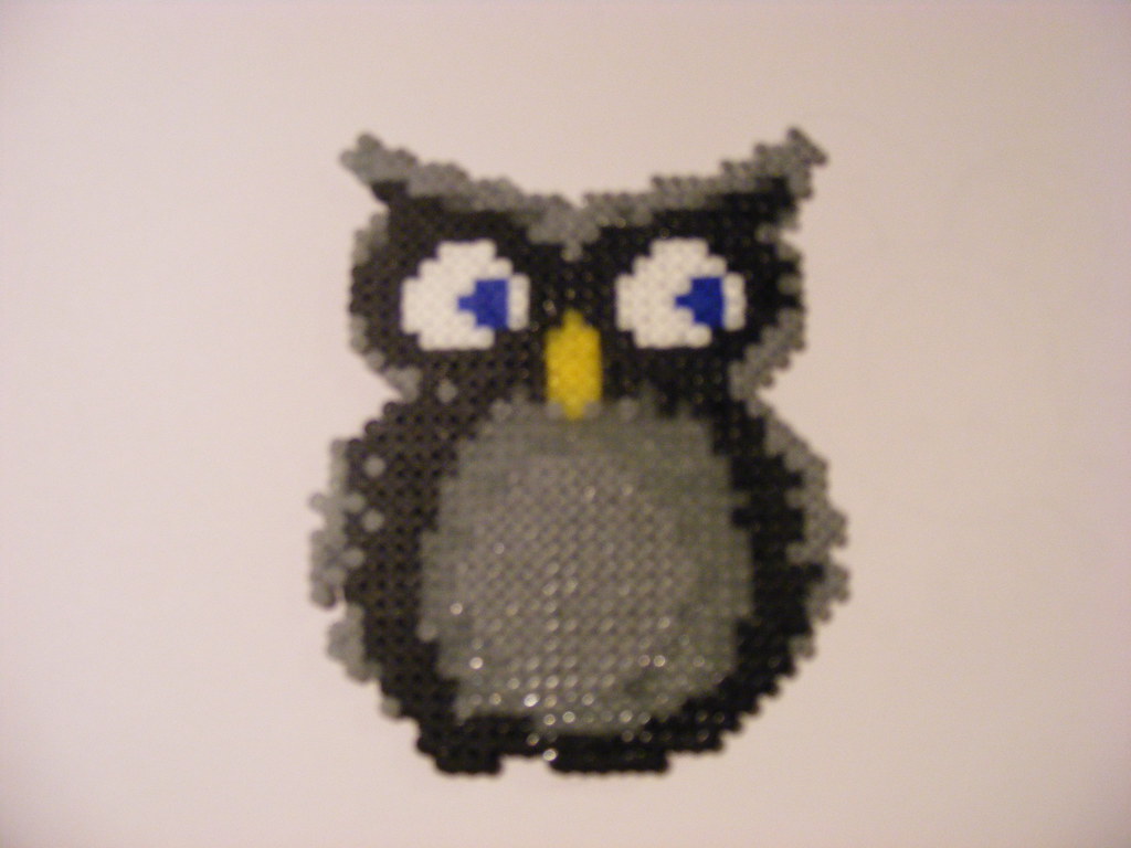Screech Owl - HD Wallpaper 