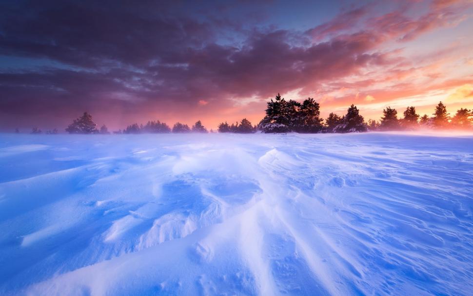 France, Provence, Plains, Snow, Winter, Trees, Sunset - HD Wallpaper 