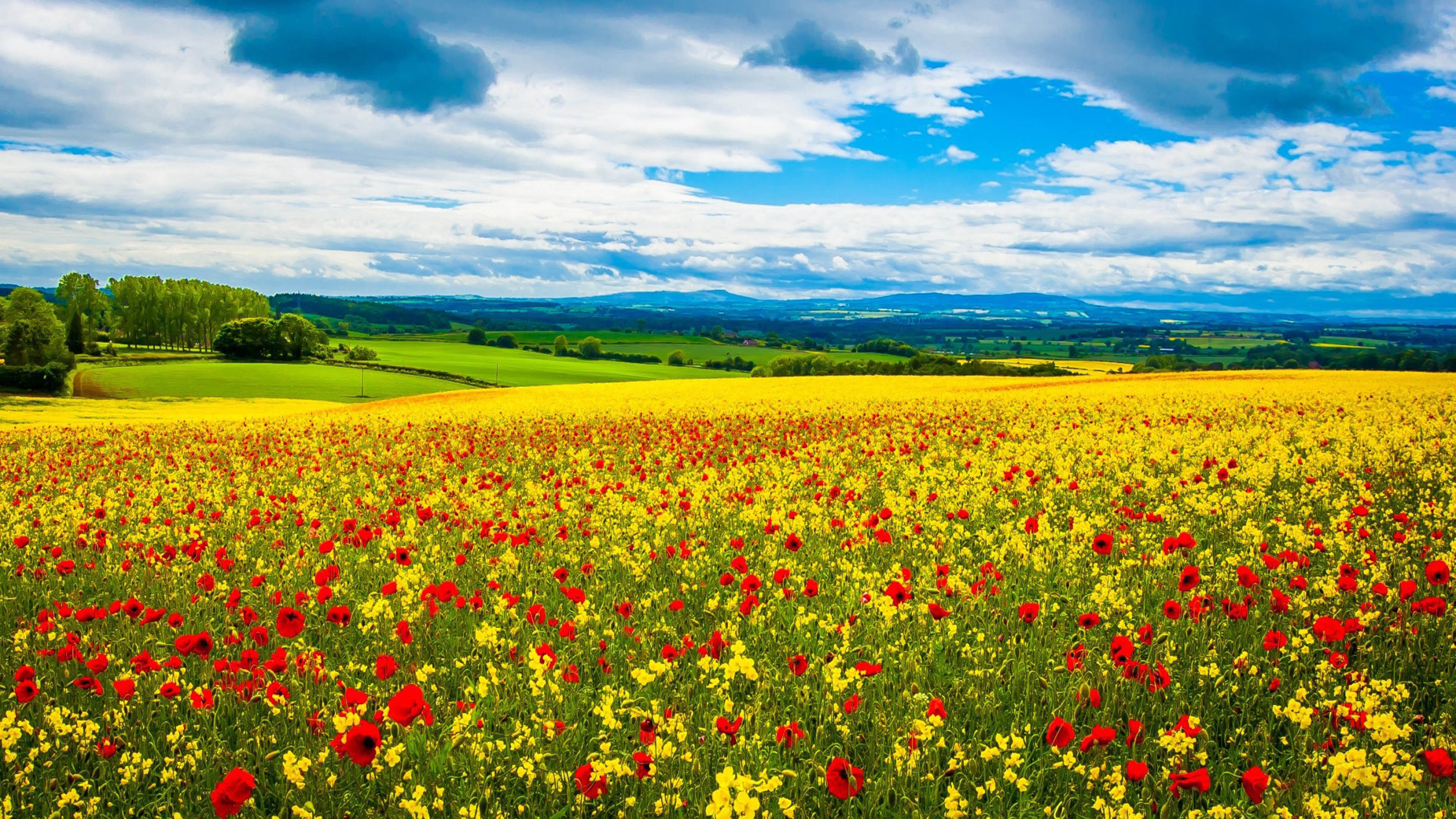 Plain Hd Wallpapers For Mobile - HD Wallpaper 