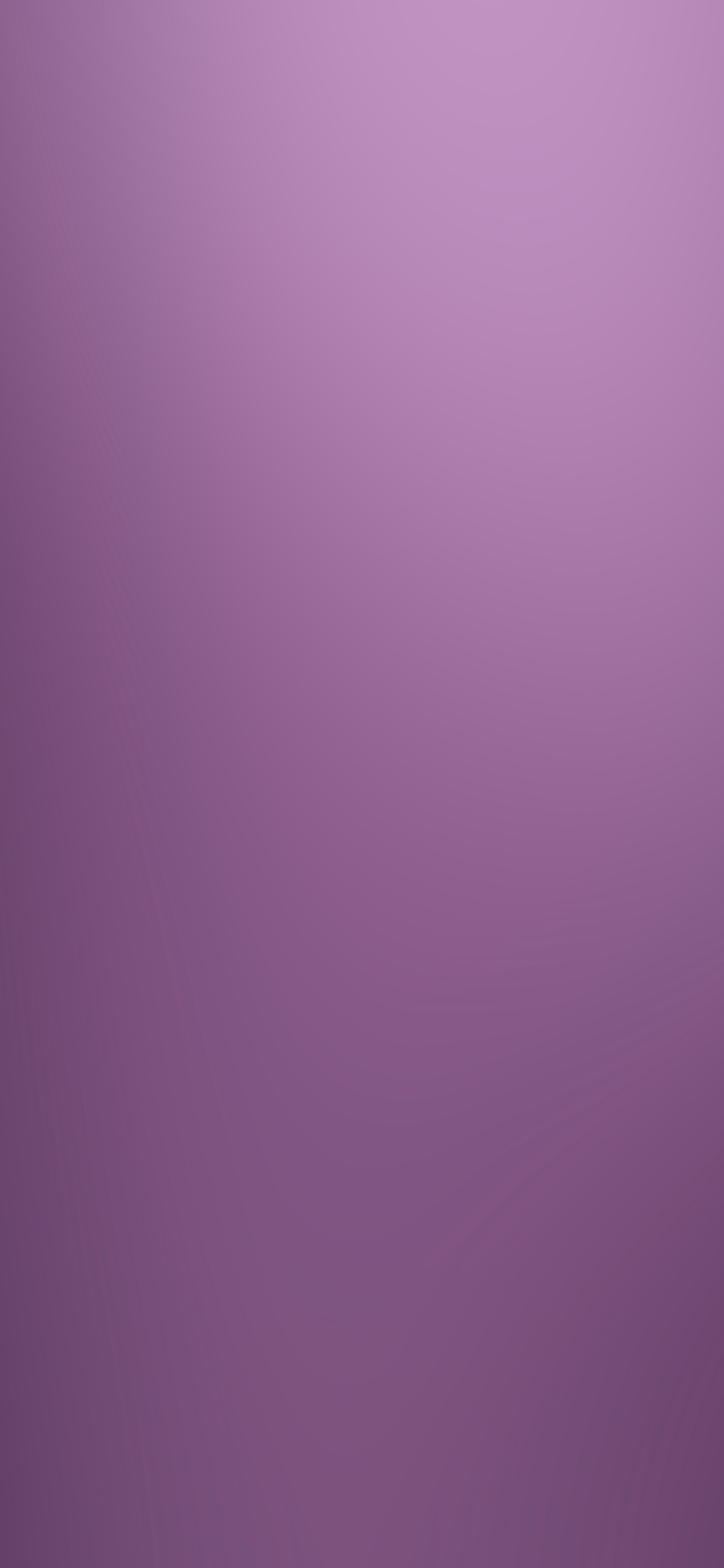 Lavender - HD Wallpaper 