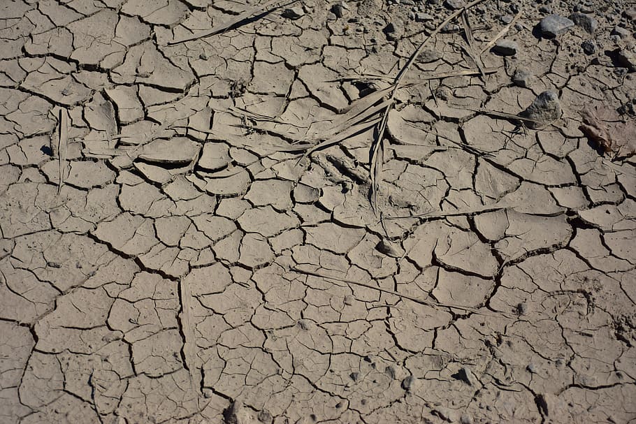 Texture, Cracked, Ground, Sand, Plain Background, Surface, - HD Wallpaper 