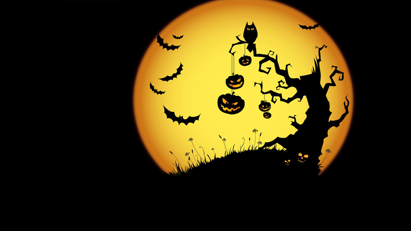 Show Me Your Costume - HD Wallpaper 