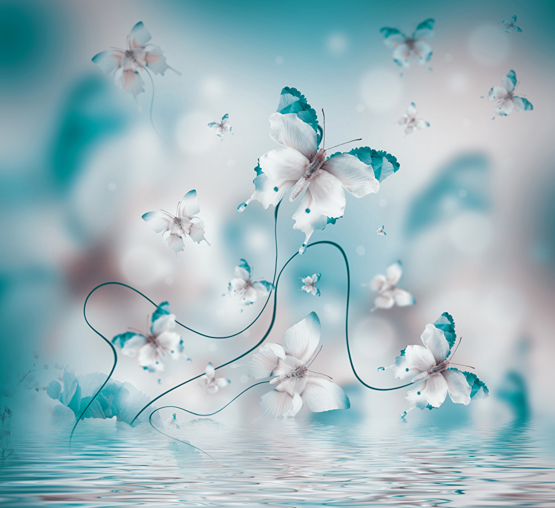 Butterfly In Water - HD Wallpaper 