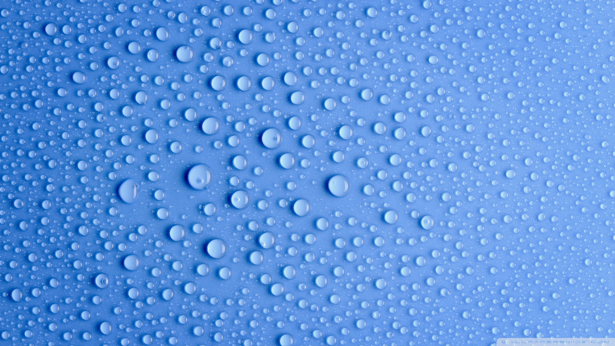 Water Droplet Background - HD Wallpaper 