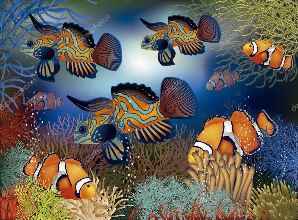 Fondo De Pantalla De Peces - HD Wallpaper 