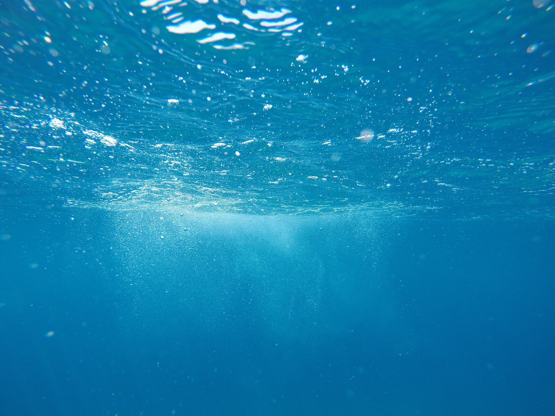 Under Water - HD Wallpaper 