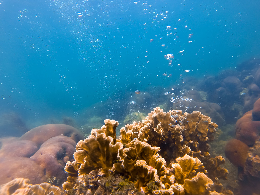 Burbujas Isla Fuerte - HD Wallpaper 