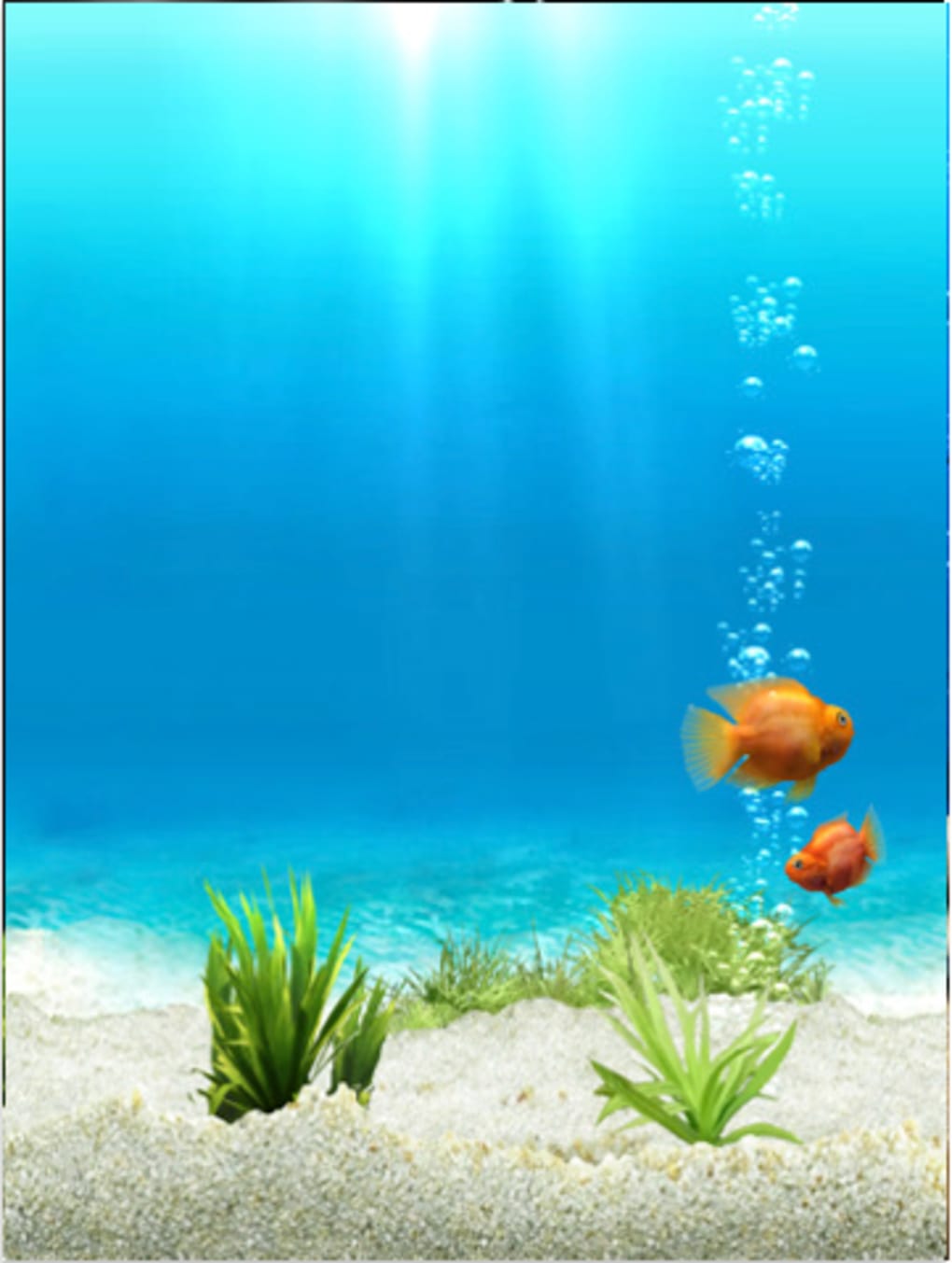 Fondos De Pantalla Hd De Peces - HD Wallpaper 