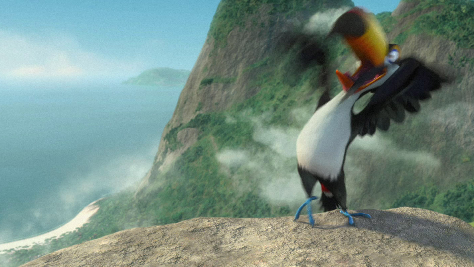 Puffin - HD Wallpaper 