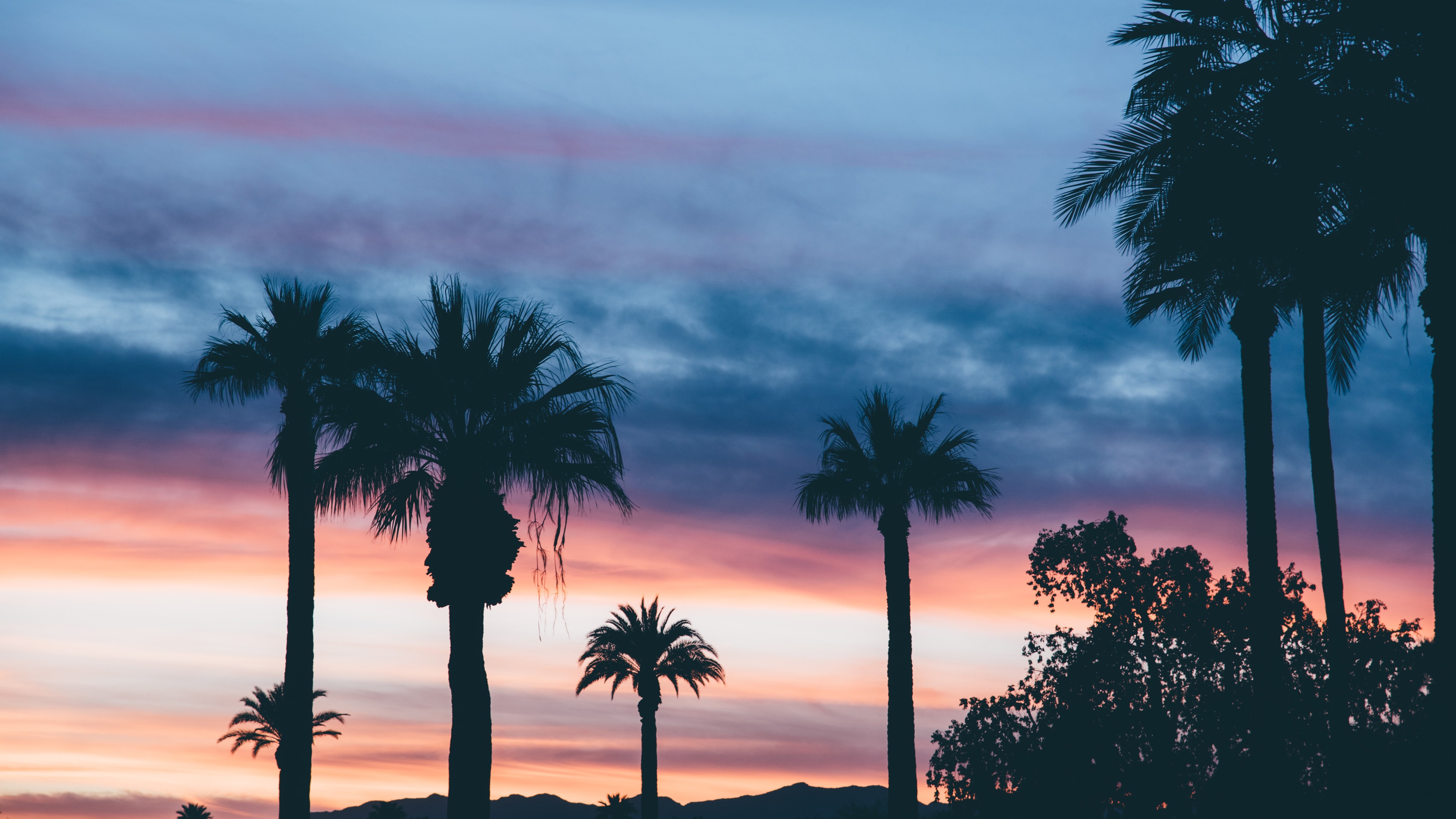 Wallpaper Palm Trees, Dusk, Sunset, Clouds - Palm Trees At Sunrise - HD Wallpaper 