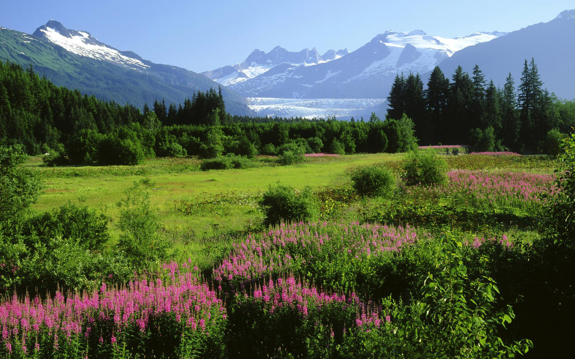 New Land Windows 7 Scenery Wallpaper - Hd Wallpaper Alaska - HD Wallpaper 