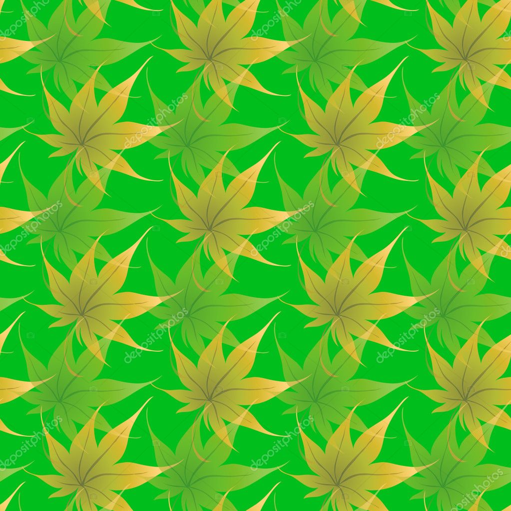 Floral Design - HD Wallpaper 