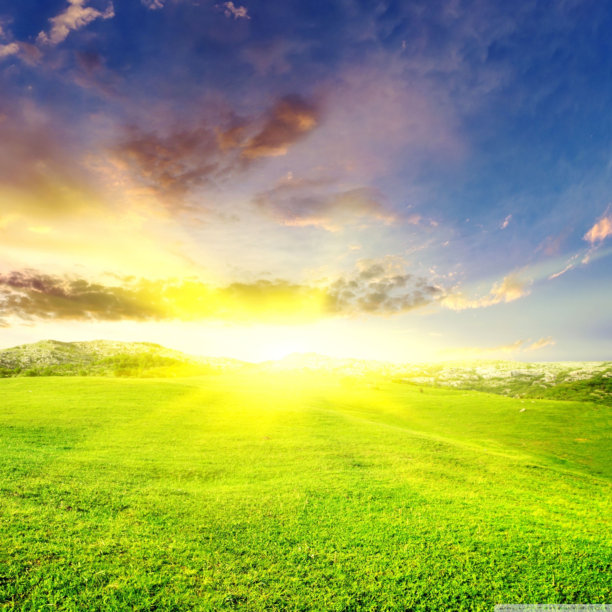 Sunny And Grass Field - HD Wallpaper 