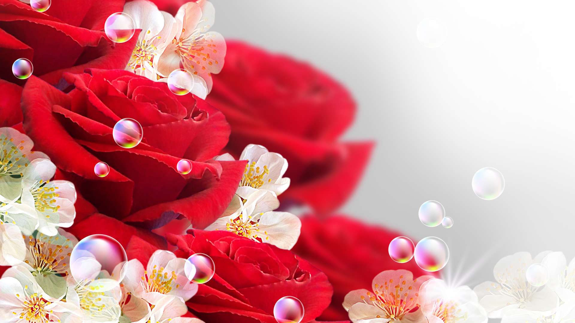 Rose Bush Of Pink Roses For Desktop And Mobile In High - HD Wallpaper 