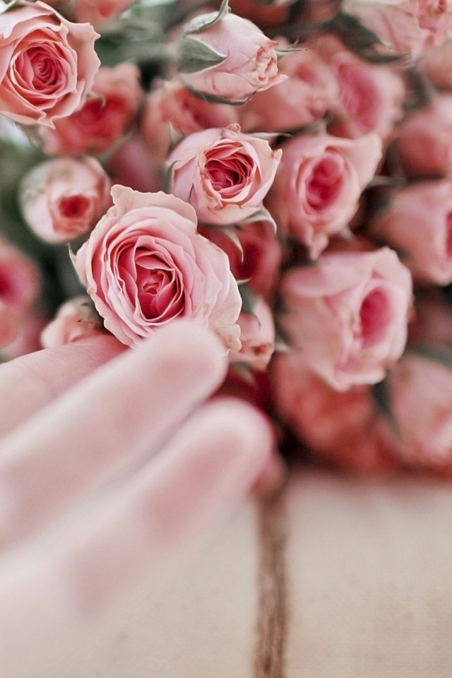 Hand Bouquet - 640x960 Wallpaper - teahub.io