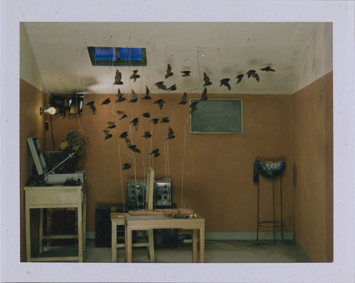 Polaroid Artist - HD Wallpaper 