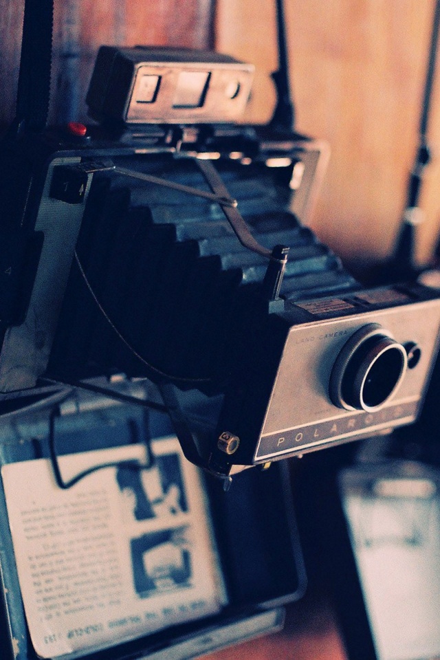 Scottish Quotes Funny - HD Wallpaper 