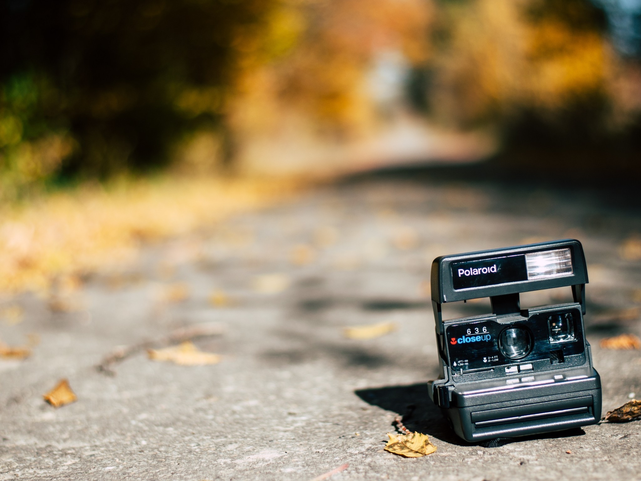 Polaroid Camera, Blurry, Photography, Leaves, Autumn - Instant Camera - HD Wallpaper 
