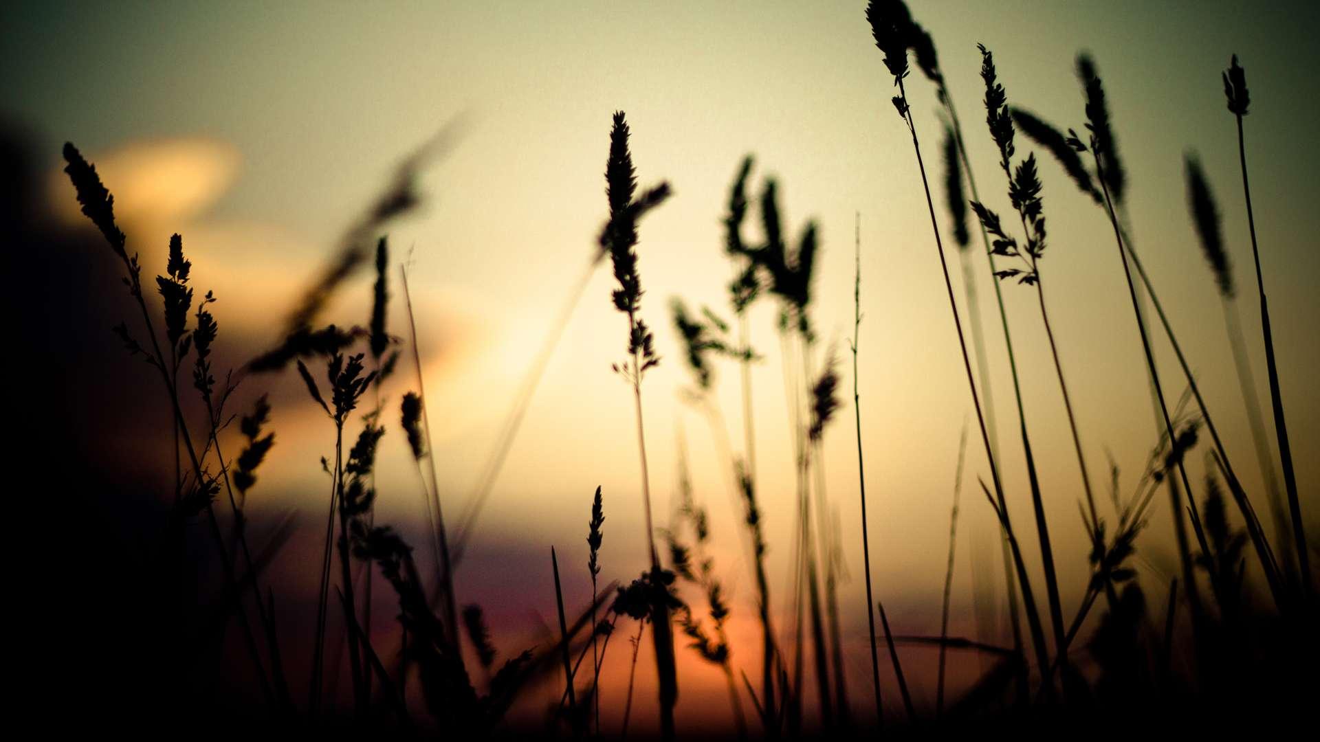 Preview country sunset 1920x1080 wallpaper teahub io