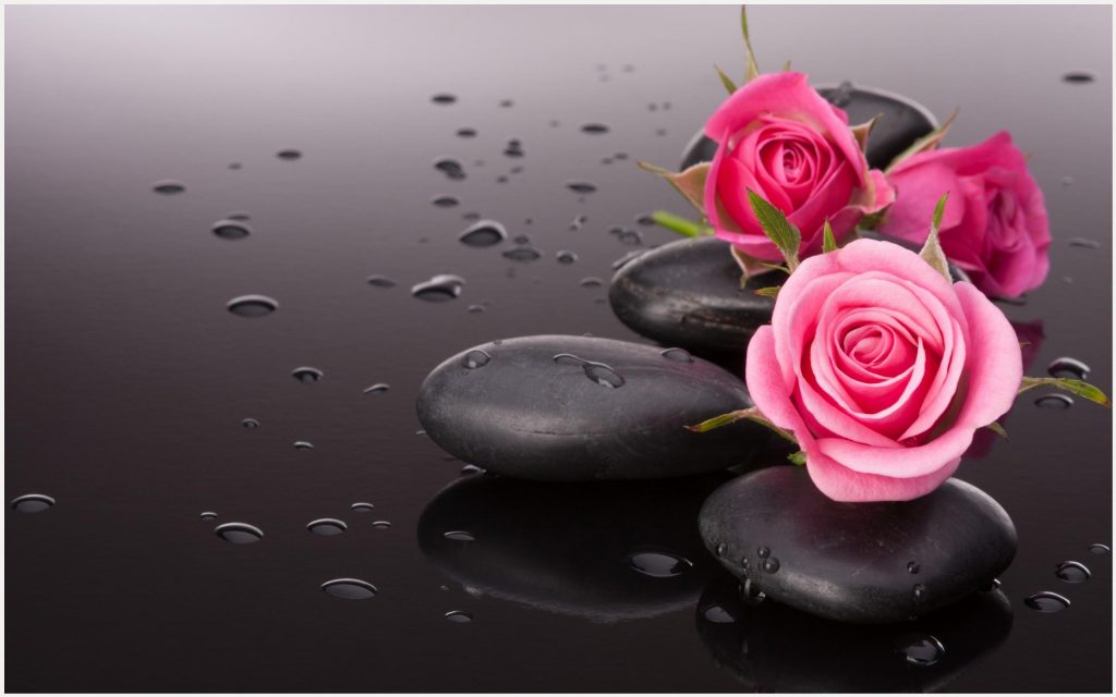 Rose Stone Hd Rose Stone Hd 1080p Rose Stone Hd Desktop - Rosas Fondo De Pantalla - HD Wallpaper 