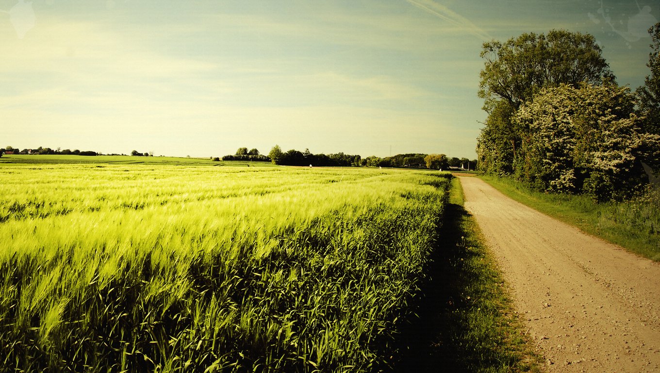 Nice Summer Day - HD Wallpaper 