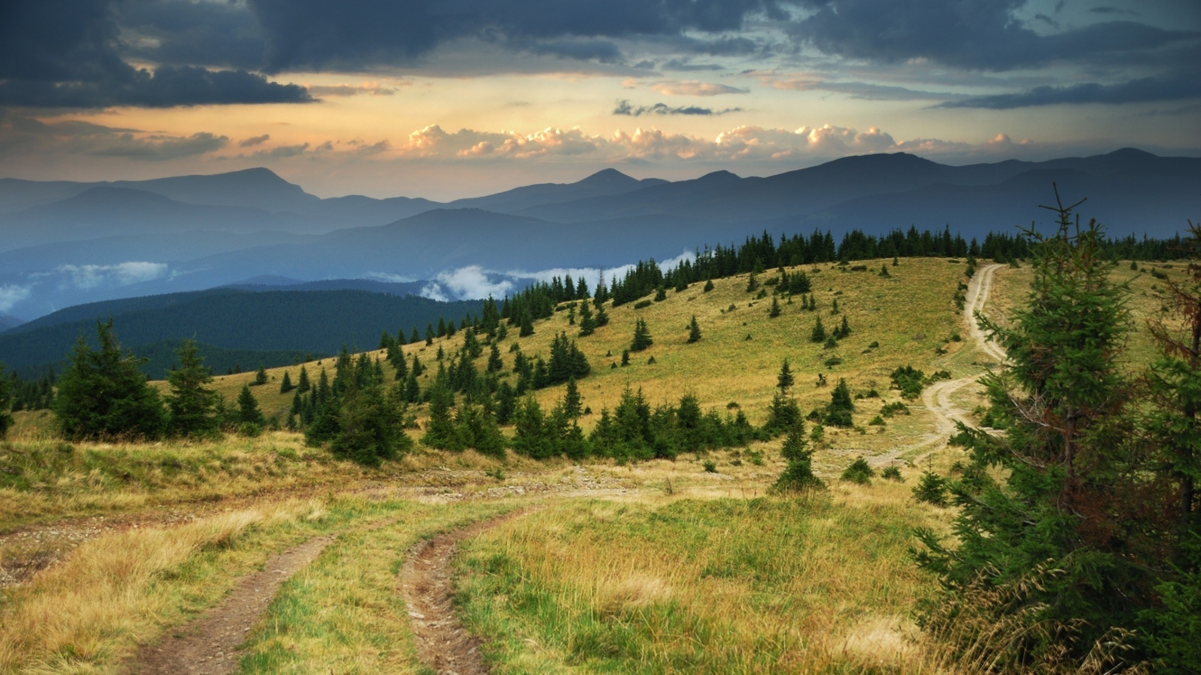 Romans 8 26 Niv - HD Wallpaper 