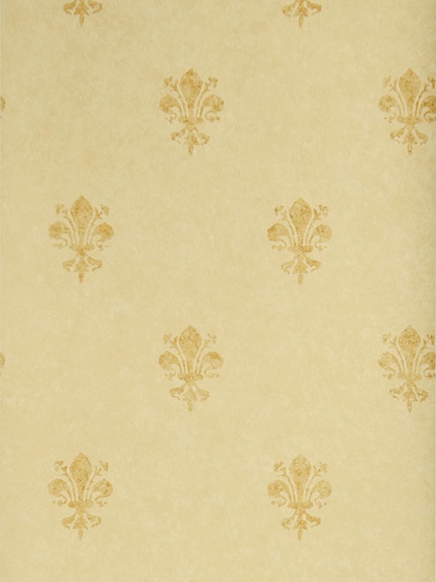 Wallpaper - HD Wallpaper 