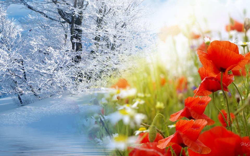 Winter Into Spring - Winter Into Spring Background - HD Wallpaper 