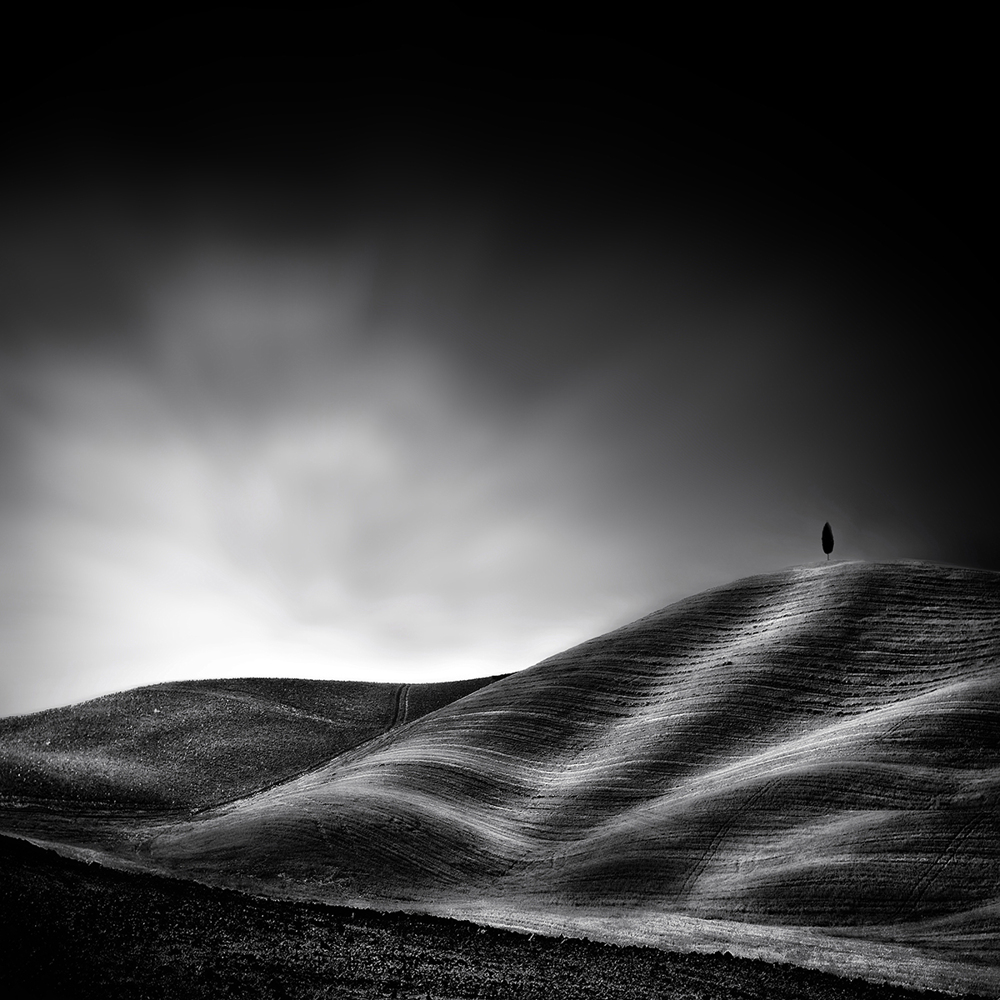 Photo Wallpaper La Vie Reprendra Au Printemps - Monochrome - HD Wallpaper 