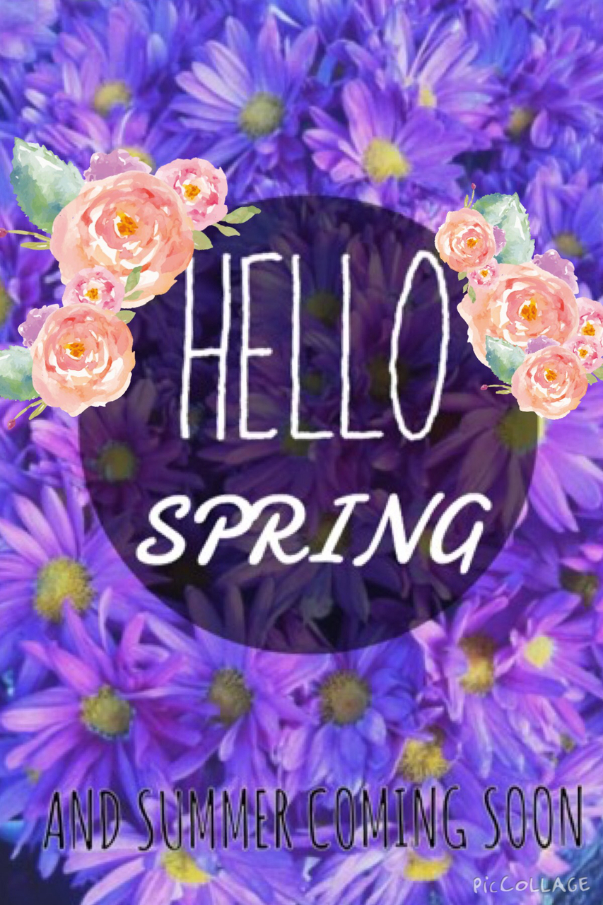 Spring, Wallpaper, And Printemps Image - Garden Roses - HD Wallpaper 