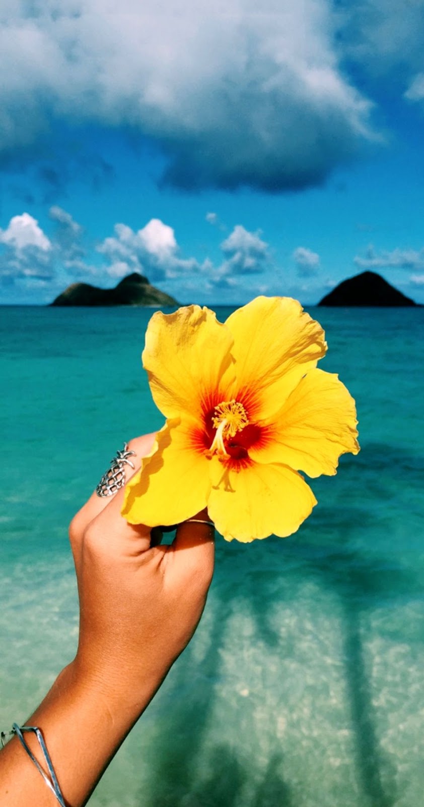 Summer Phone Wallpapers - HD Wallpaper 