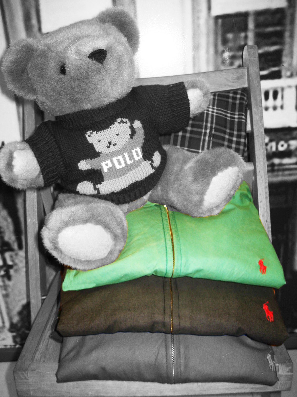 Polo Bear - HD Wallpaper 