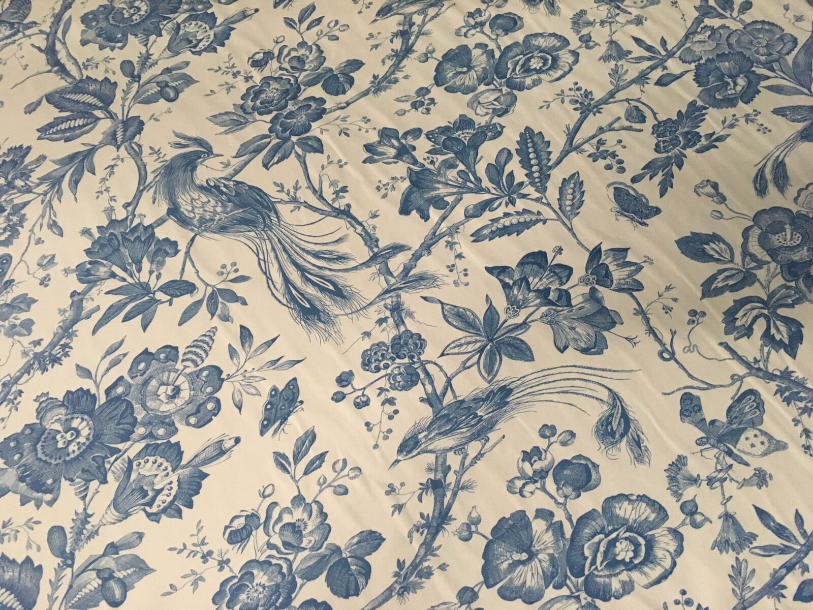 Wallpaper - HD Wallpaper 