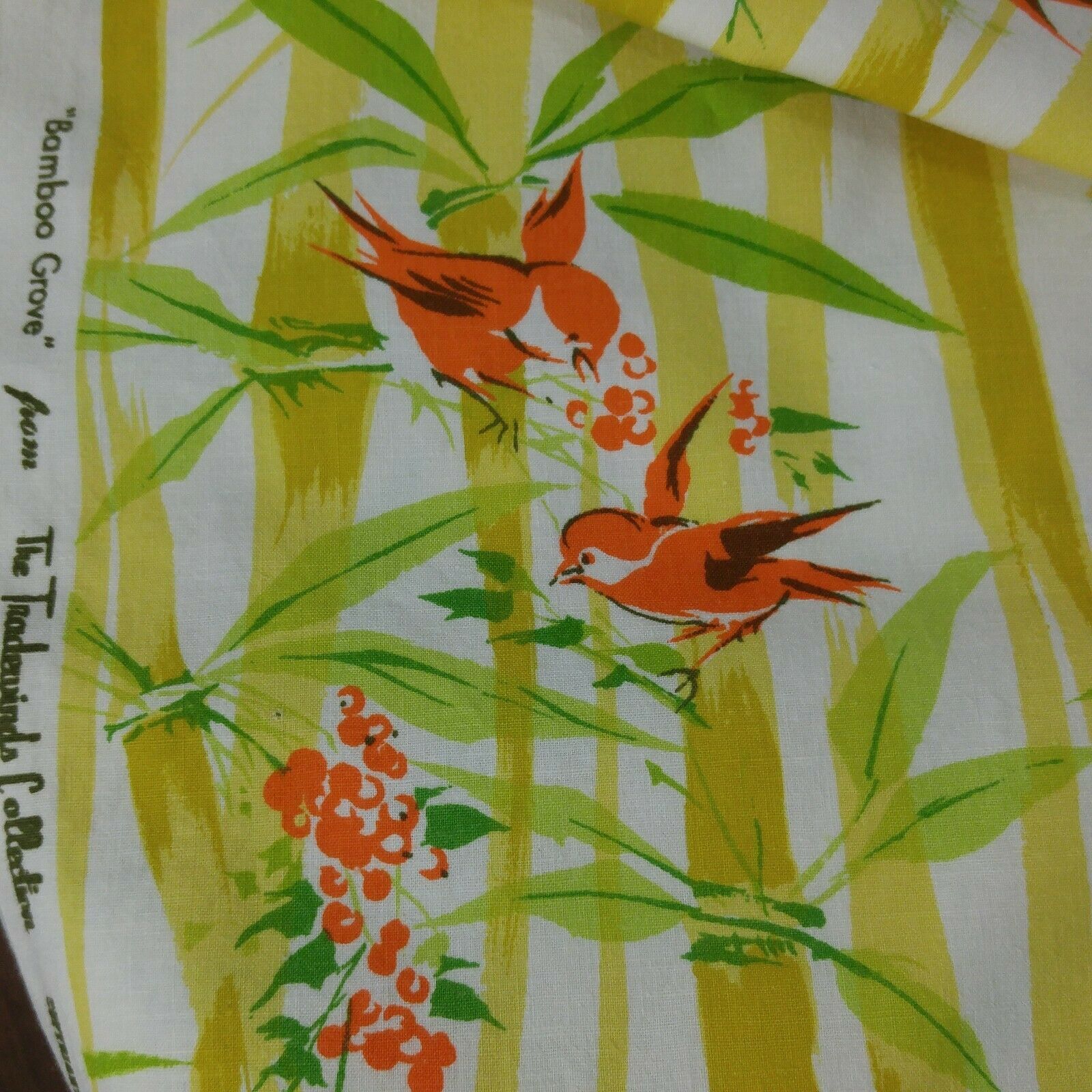 Songbird - HD Wallpaper 