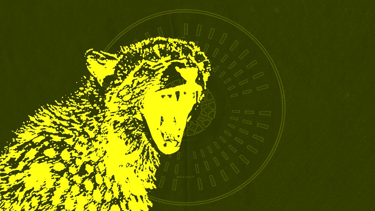 Pet Cheetah Twenty One Pilots - HD Wallpaper 
