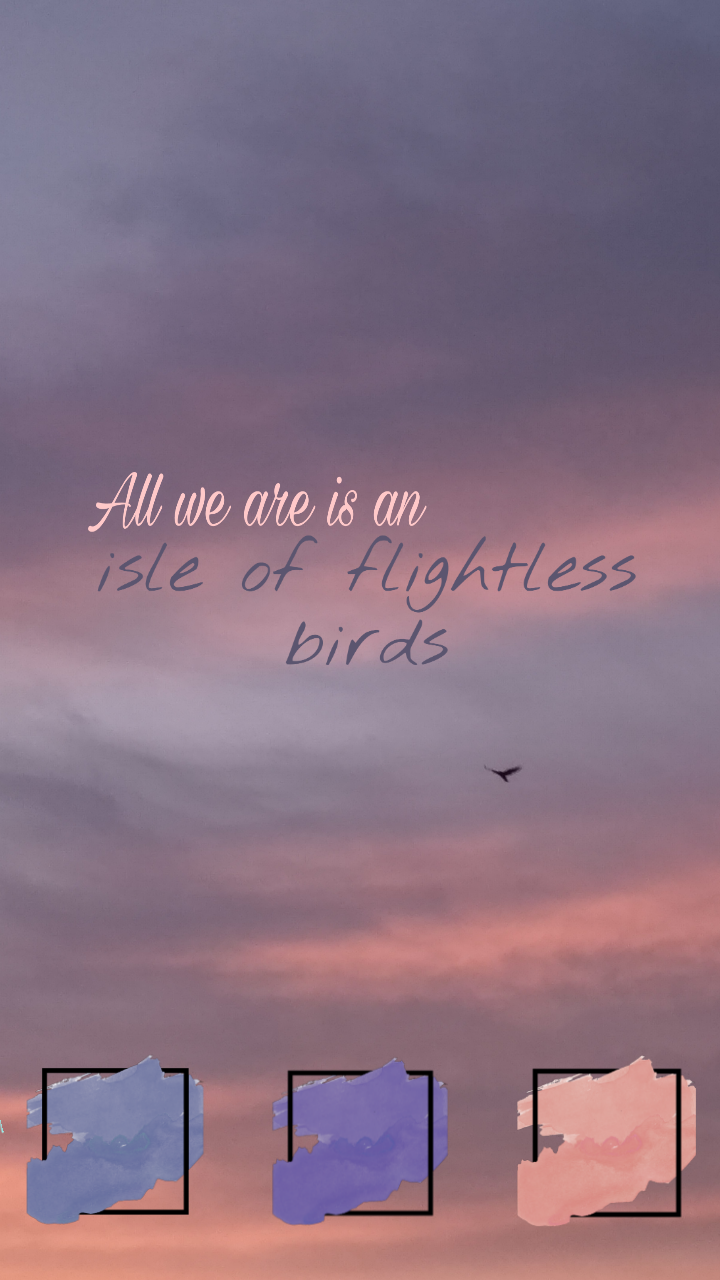 Evening - HD Wallpaper 