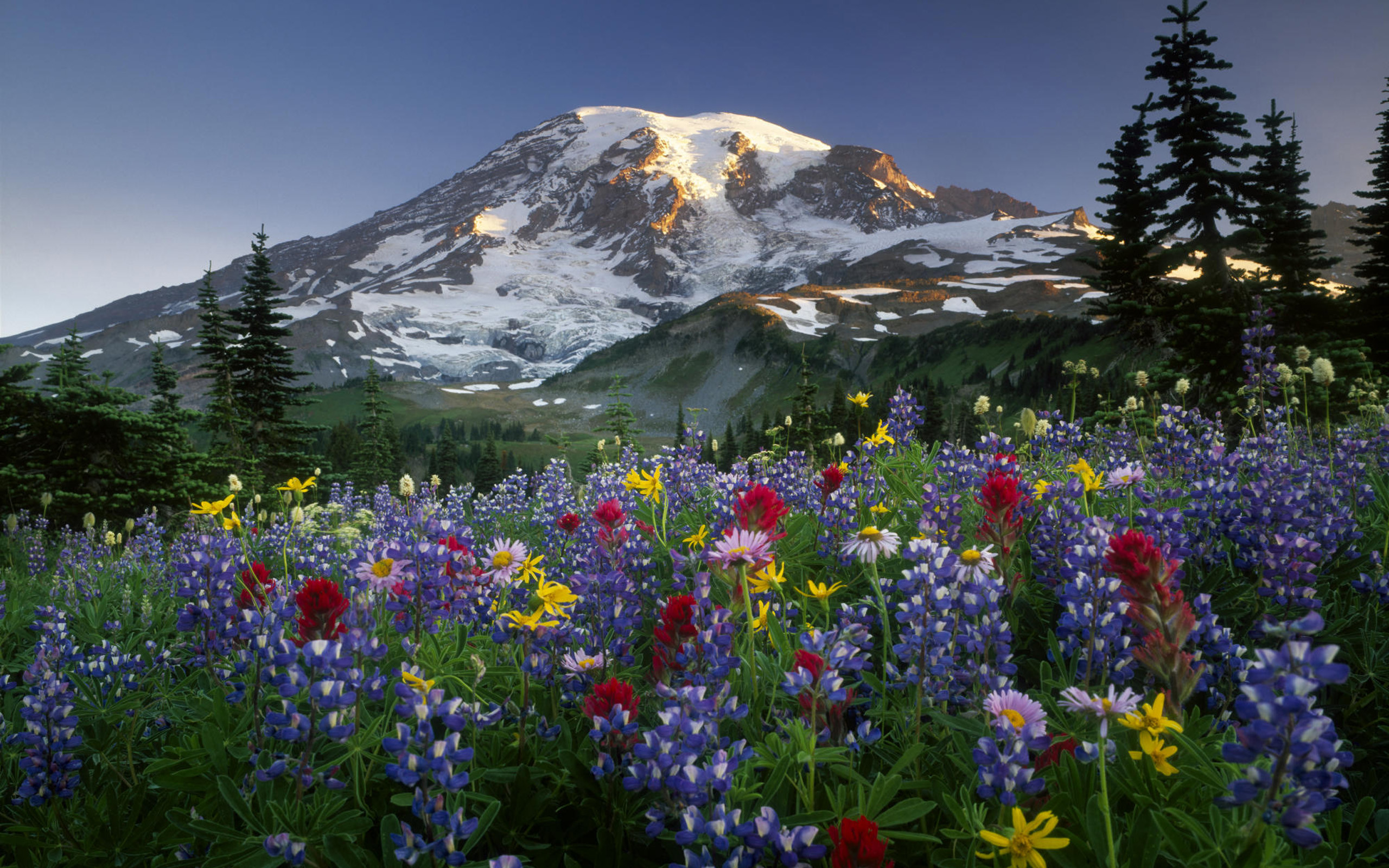 Mountains Wallpaper Free Download Â - Nature Mountains Flowers - HD Wallpaper 