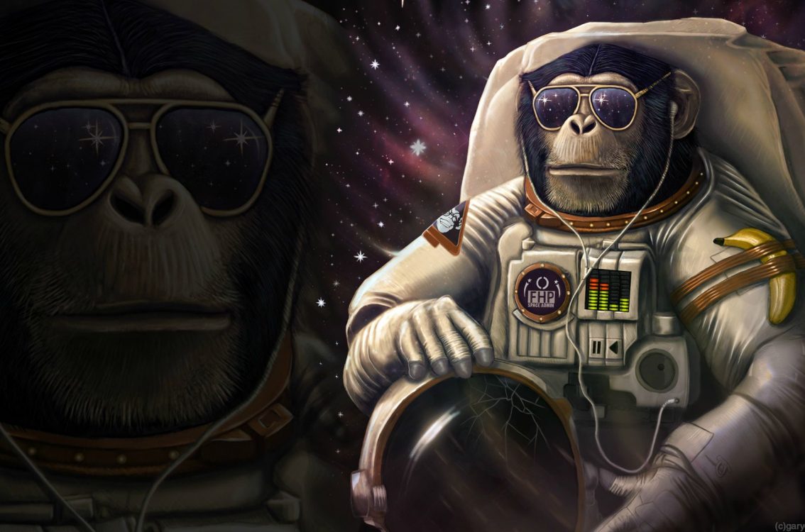 Cool Space Monkey - HD Wallpaper 