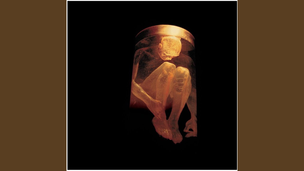 Alice In Chains Nothing Safe The Best - HD Wallpaper 