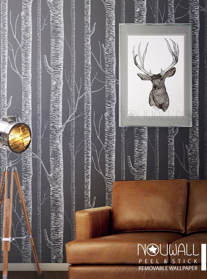 Birch Tree Peel And Stick - HD Wallpaper 